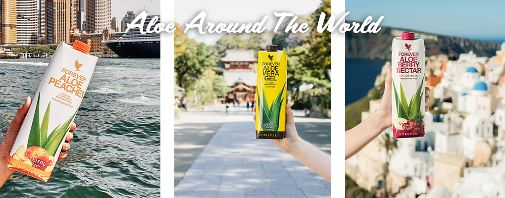 Banner image for the article Celebrating a month of aloe goodness all over the world