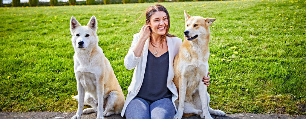 According to Mintel, over a quarter of dog owners admit they like to pamper their pets, and in the UK alone we spend 10 billion a year on our dogs.