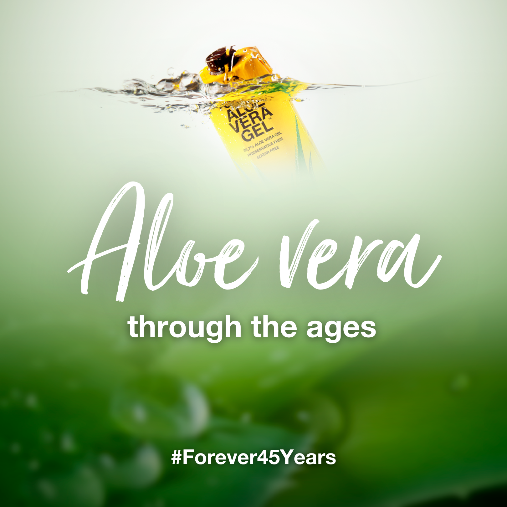 As we approach Forever’s 45th Birthday, it is perhaps a good time to focus on the company’s flagship product: Forever Aloe Vera Gel.

