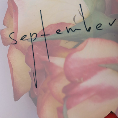 Looking forward to a new month? Here are some of the reasons why we think September is a great time for a fresh start.